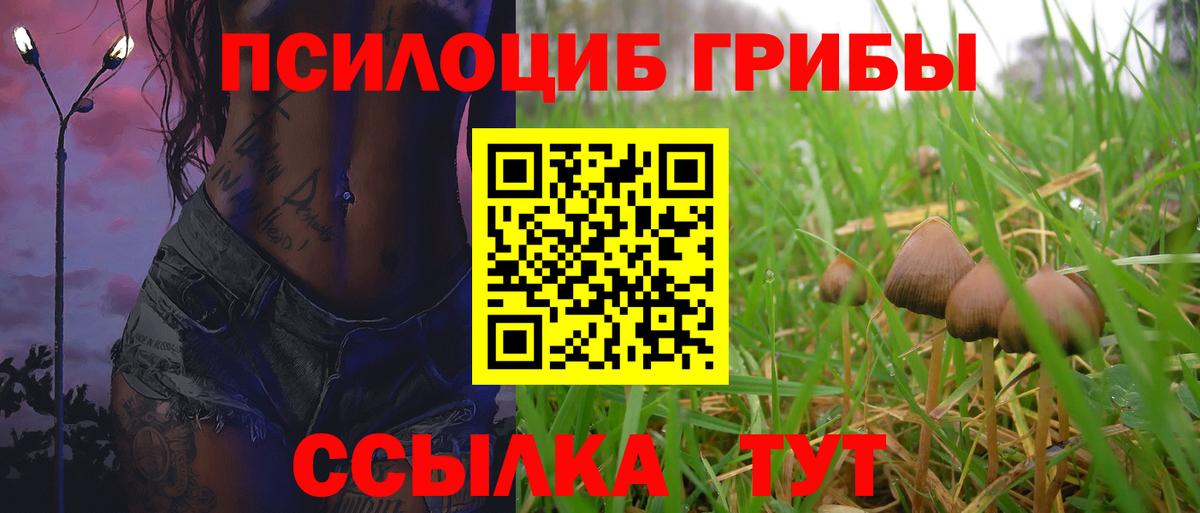 Сердобск  Галлюциногенные грибы ЛСД  Вход с VPN 
